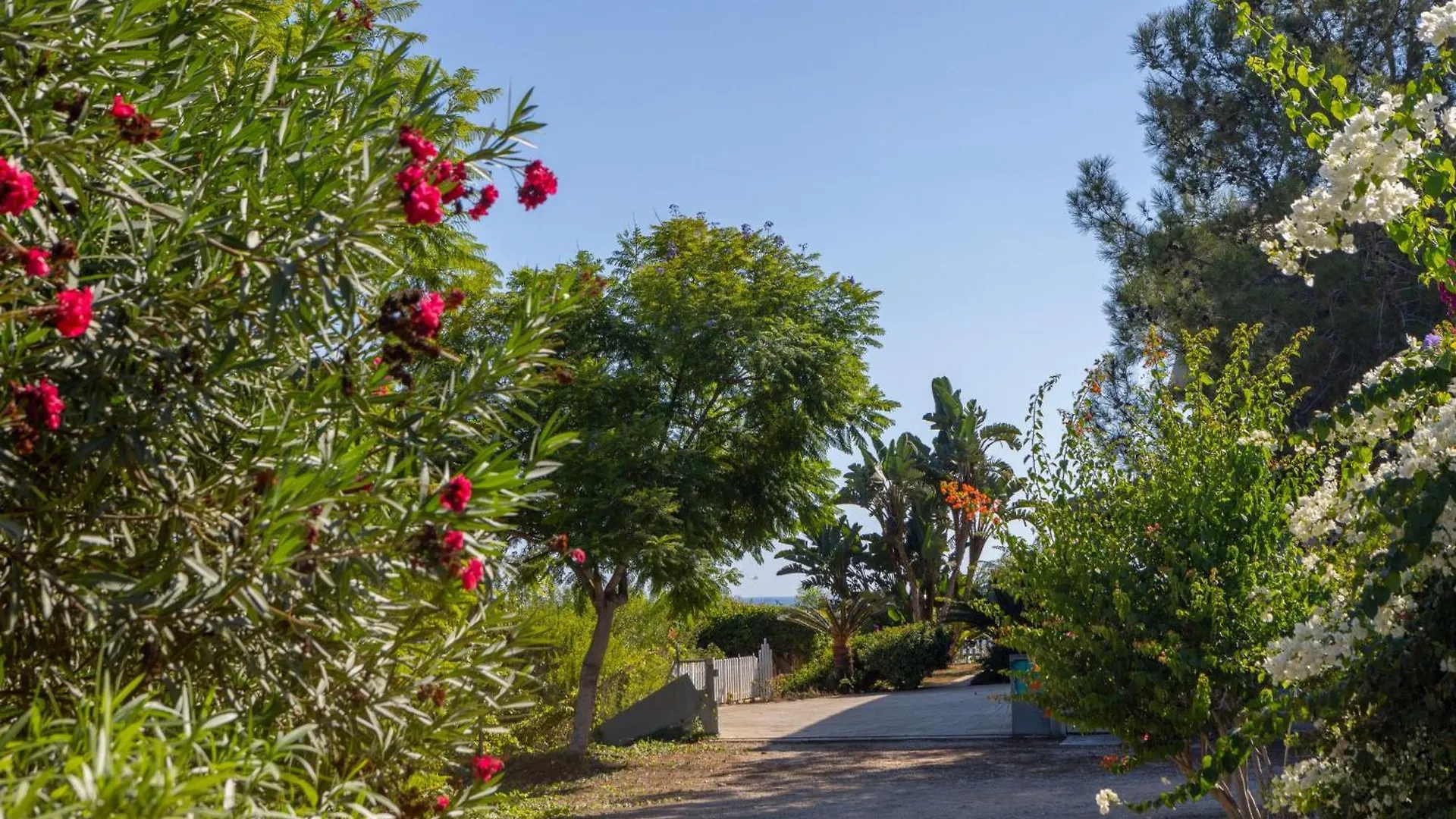 Villa Ayia Napa Sycamore Seaview Cyprus