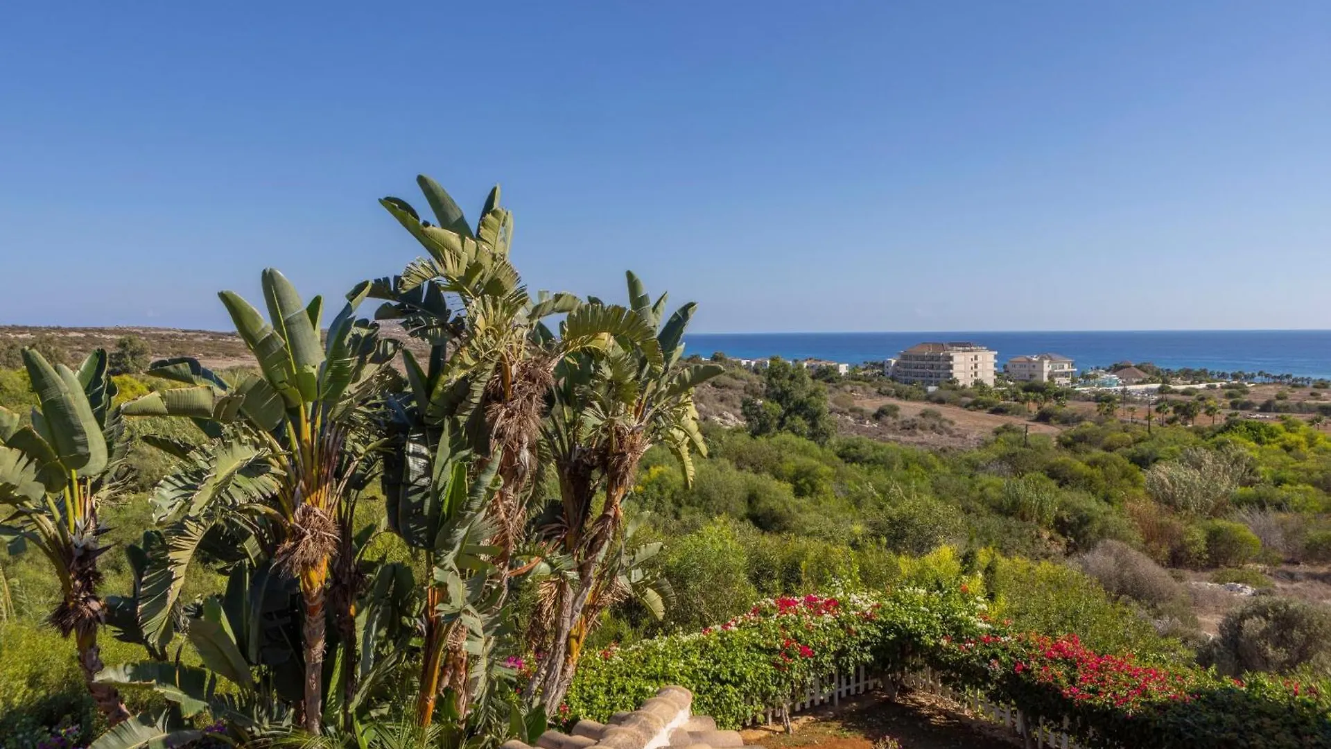 Ayia Napa Sycamore Seaview