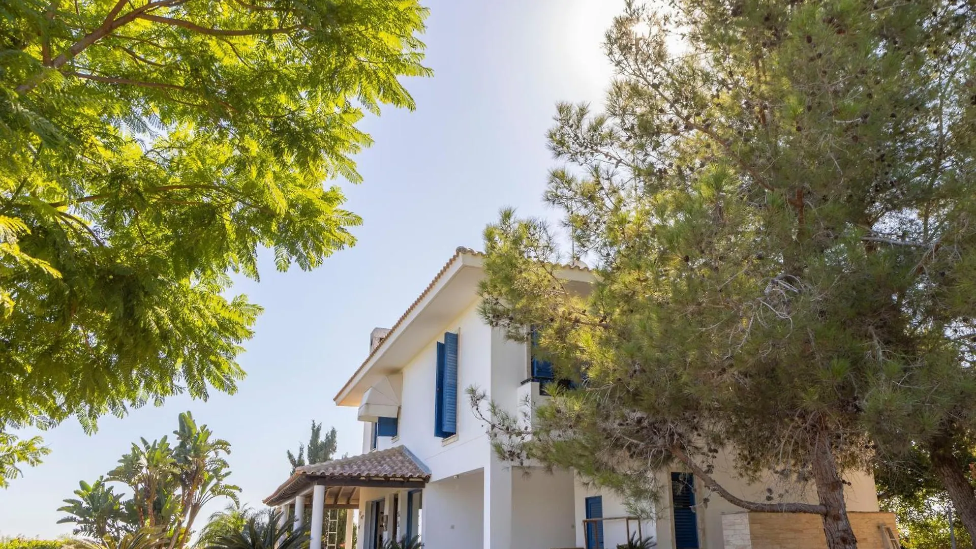 Ayia Napa Sycamore Seaview Cyprus