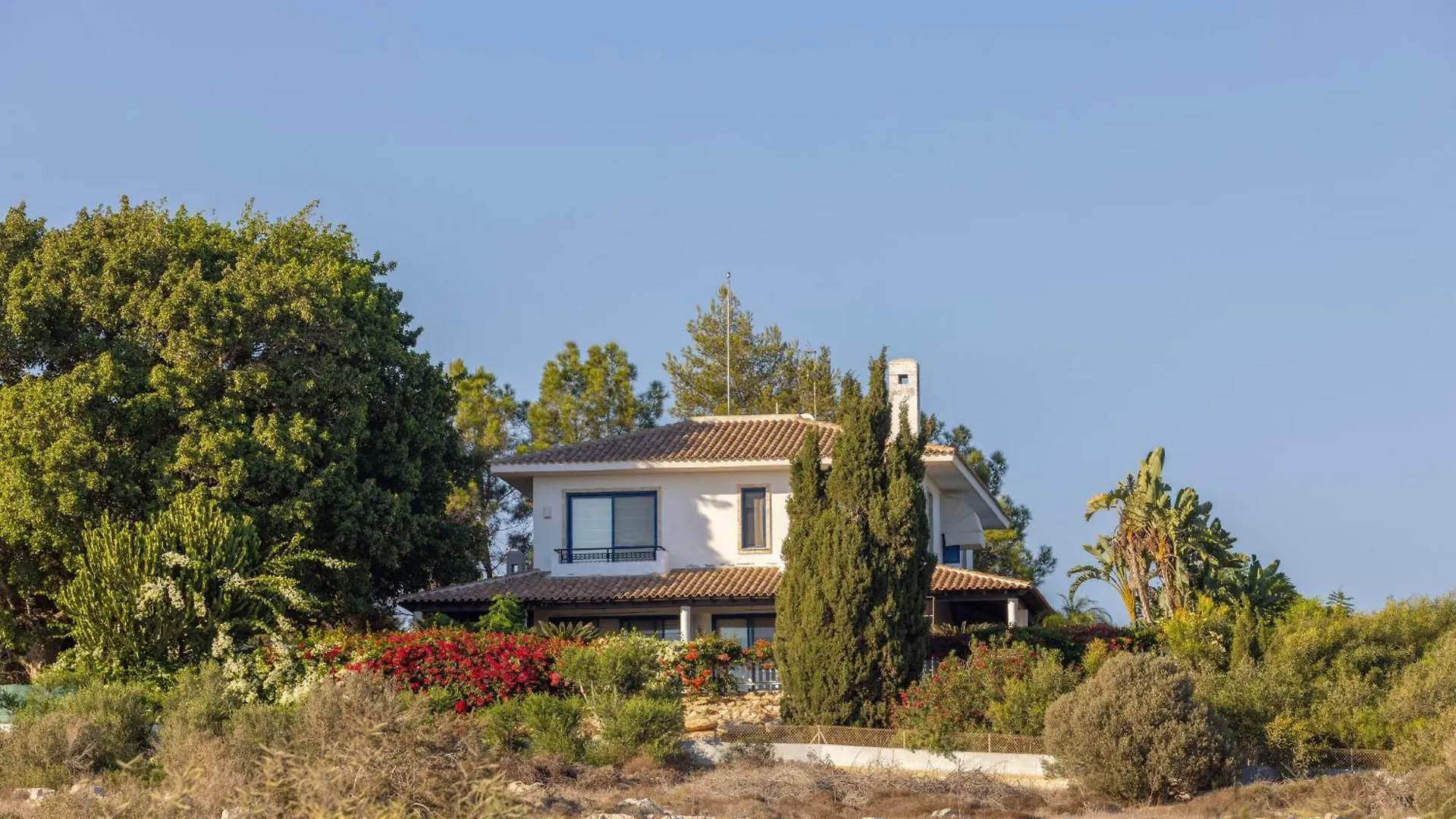 Ayia Napa Sycamore Seaview location