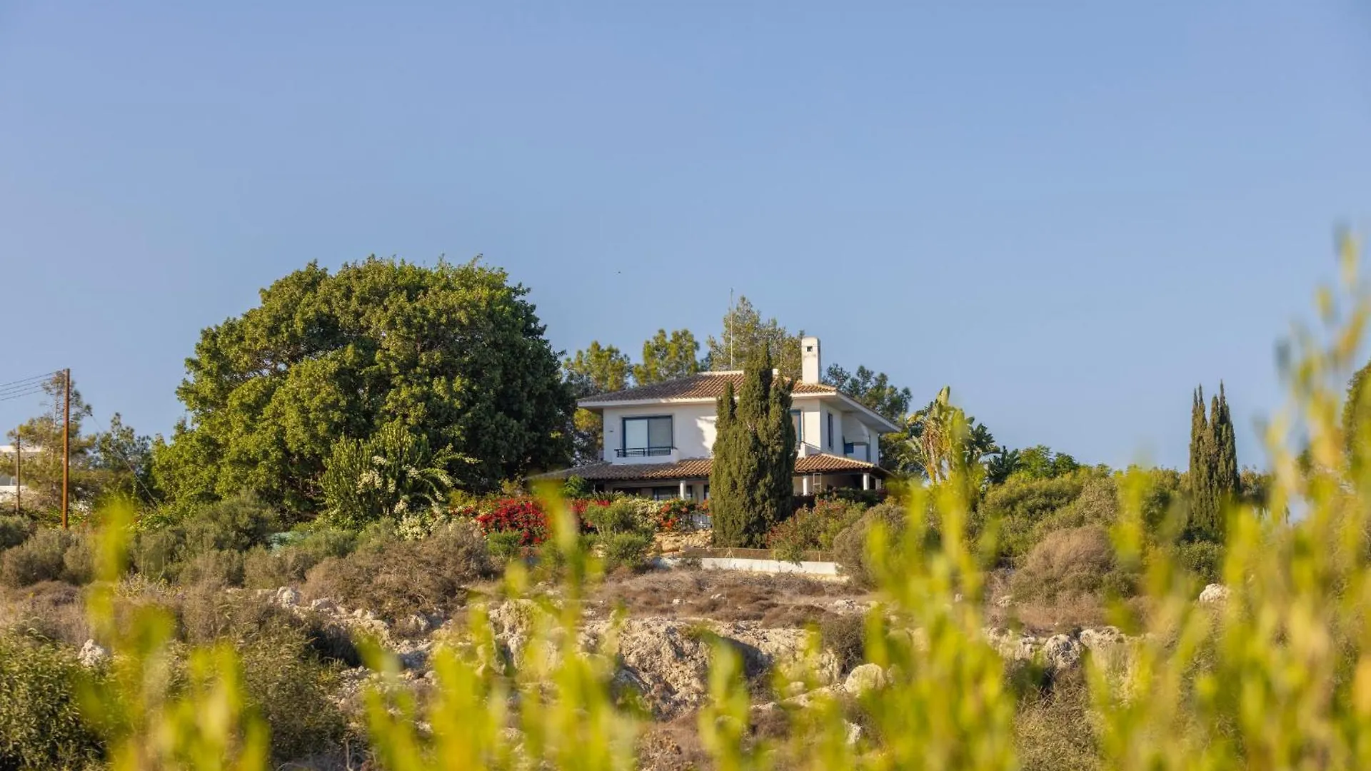 Ayia Napa Sycamore Seaview Agia Napa
